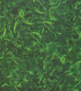 Natural and nutritious Blue Green Algae