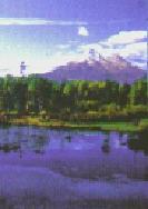 Mineral rich ecosystem of Klamath Lake, Oregon